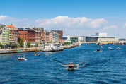 Harbour buzz