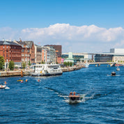 Harbour buzz