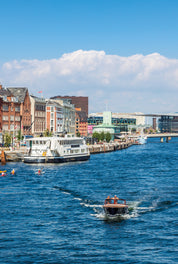 Harbour buzz