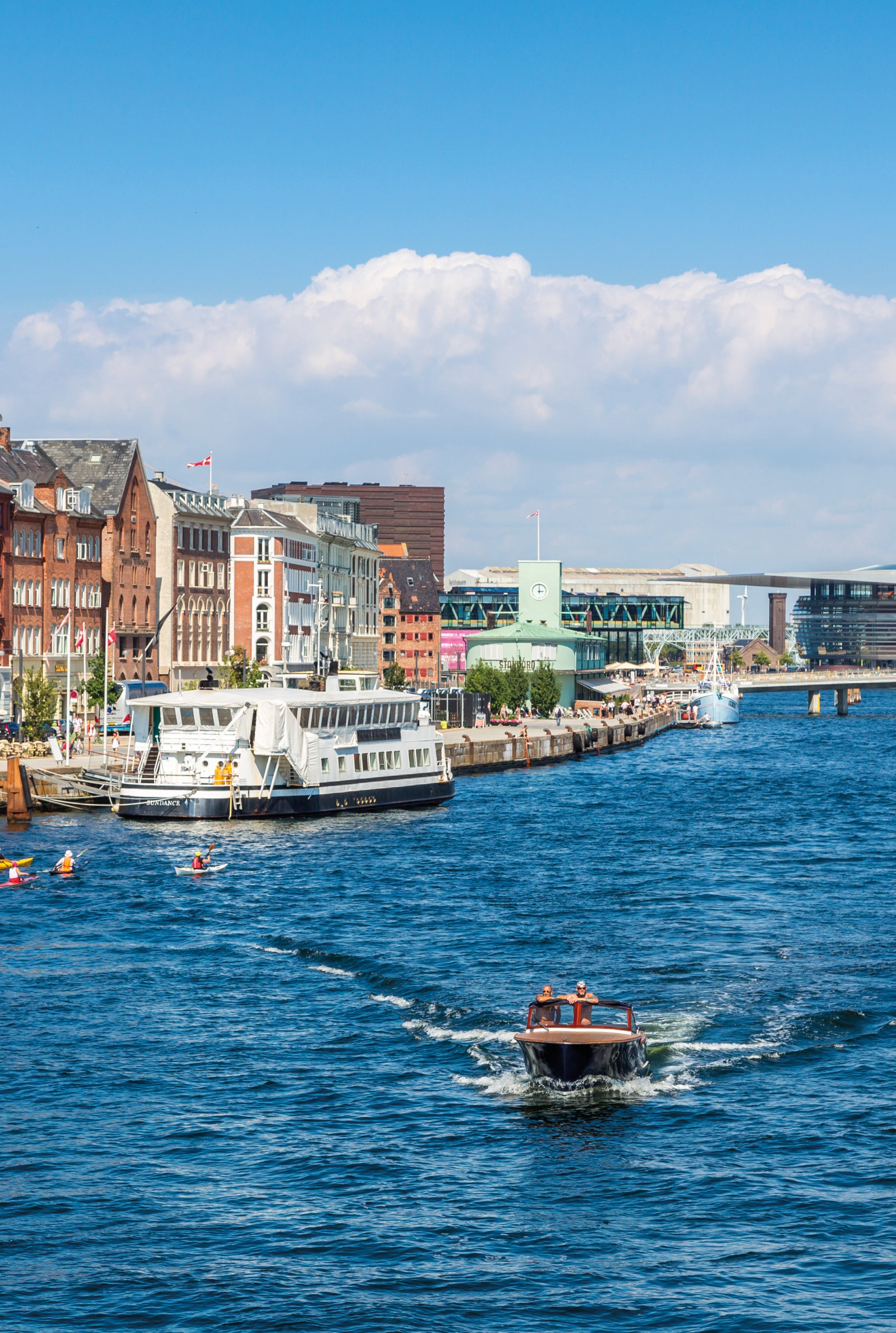 Harbour buzz