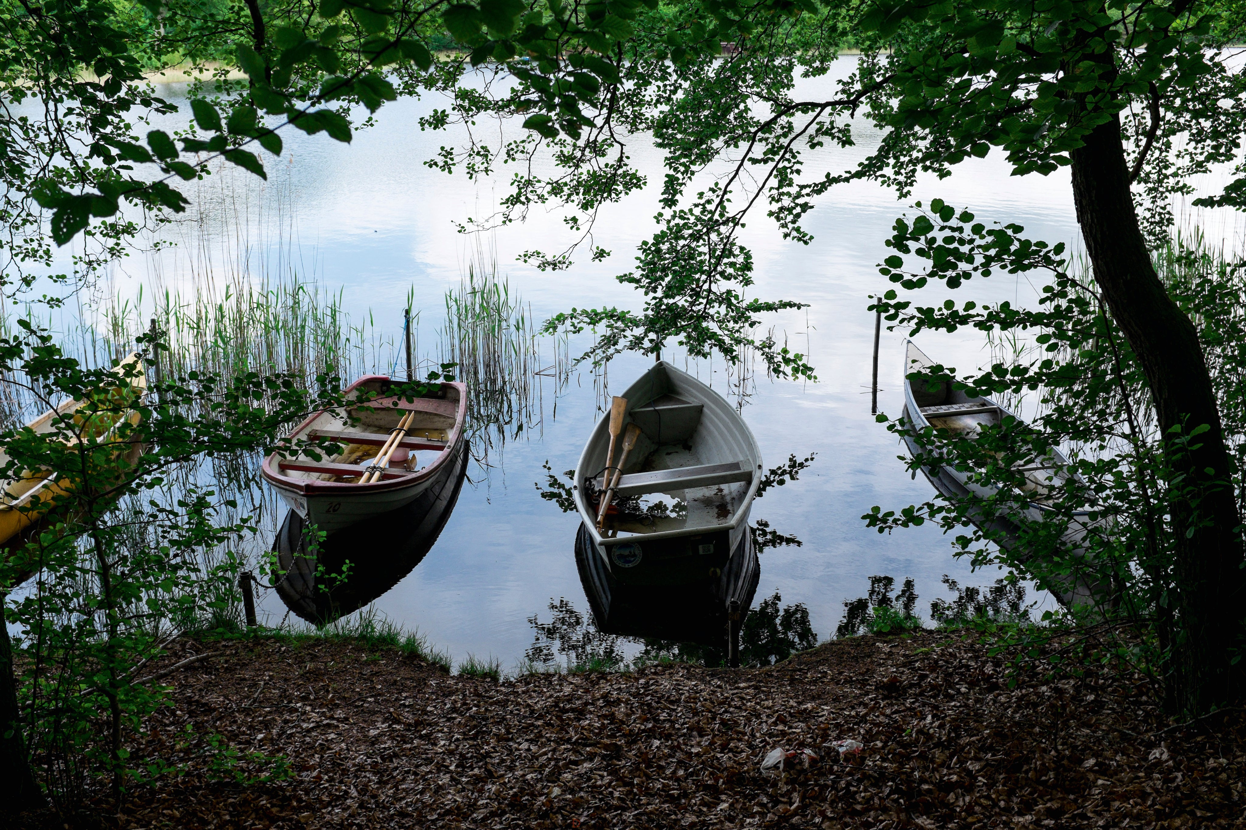 Heldbywater-150x100cm.jpg