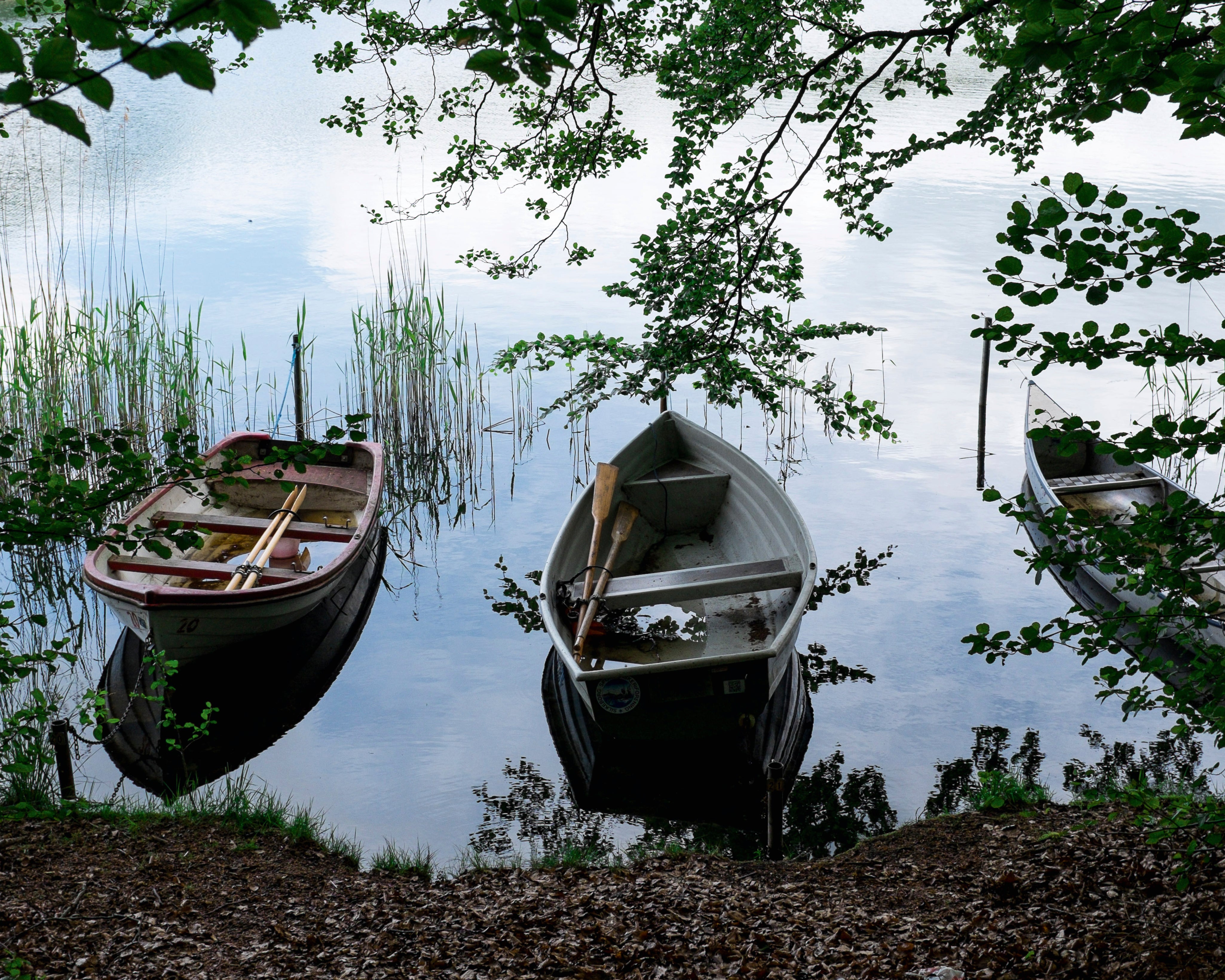 Heldbywater-150x150cm.jpg