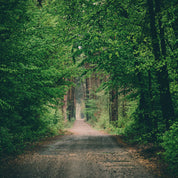 Hidden trails