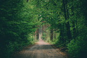 Hidden trails