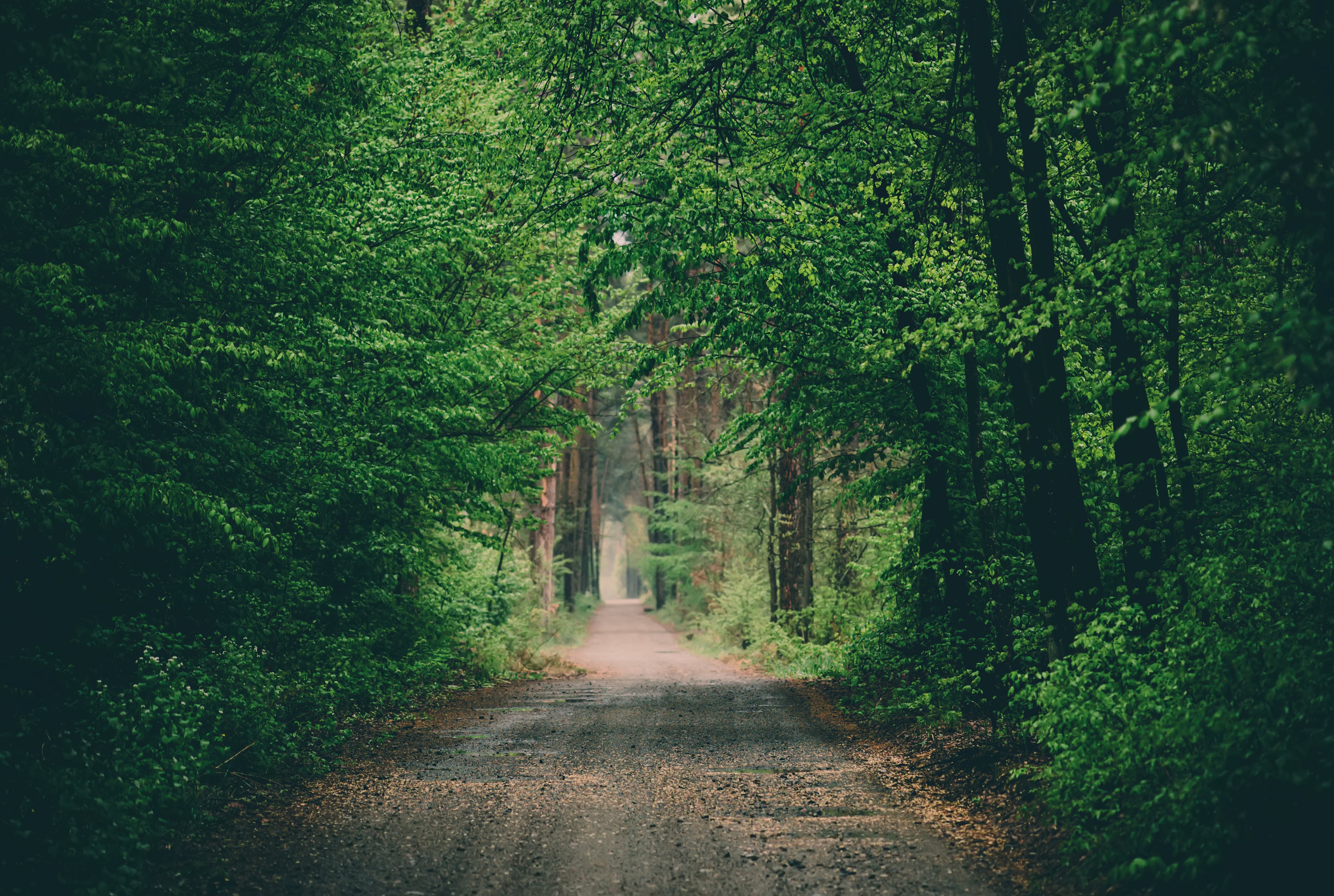 Hidden trails