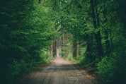 Hidden trails
