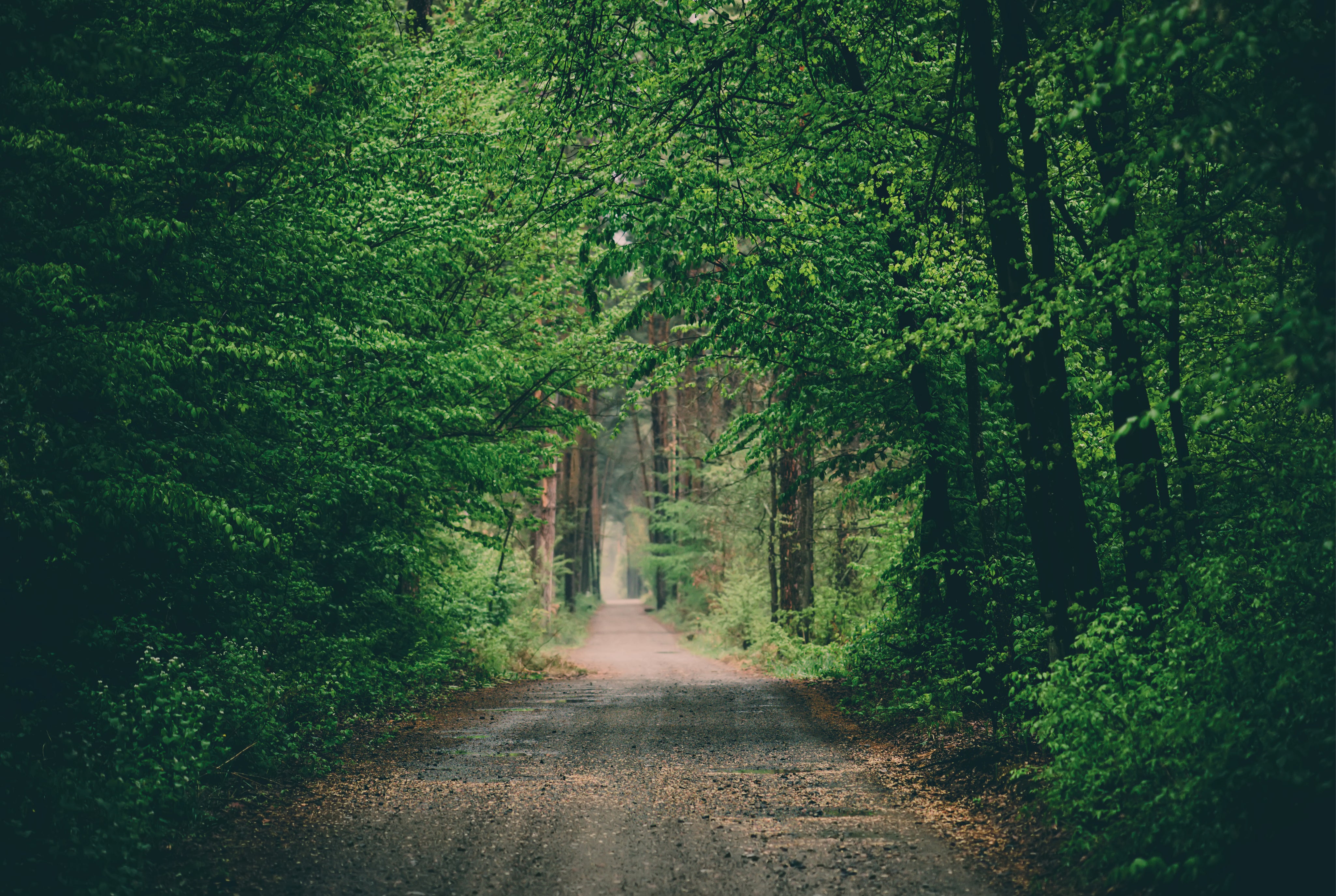 Hidden trails