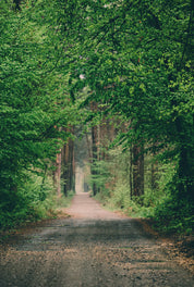 Hidden trails
