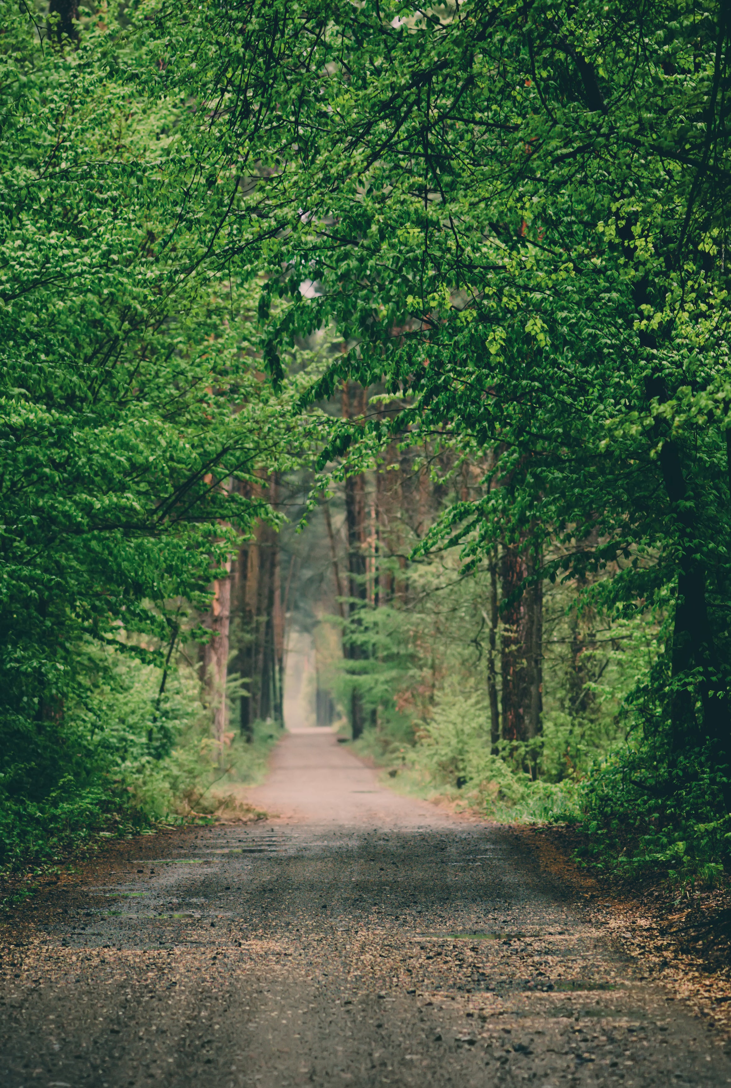 Hidden trails