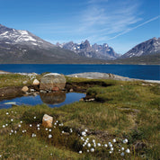 Highland hush