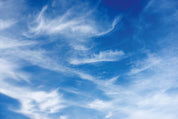 Horizon line