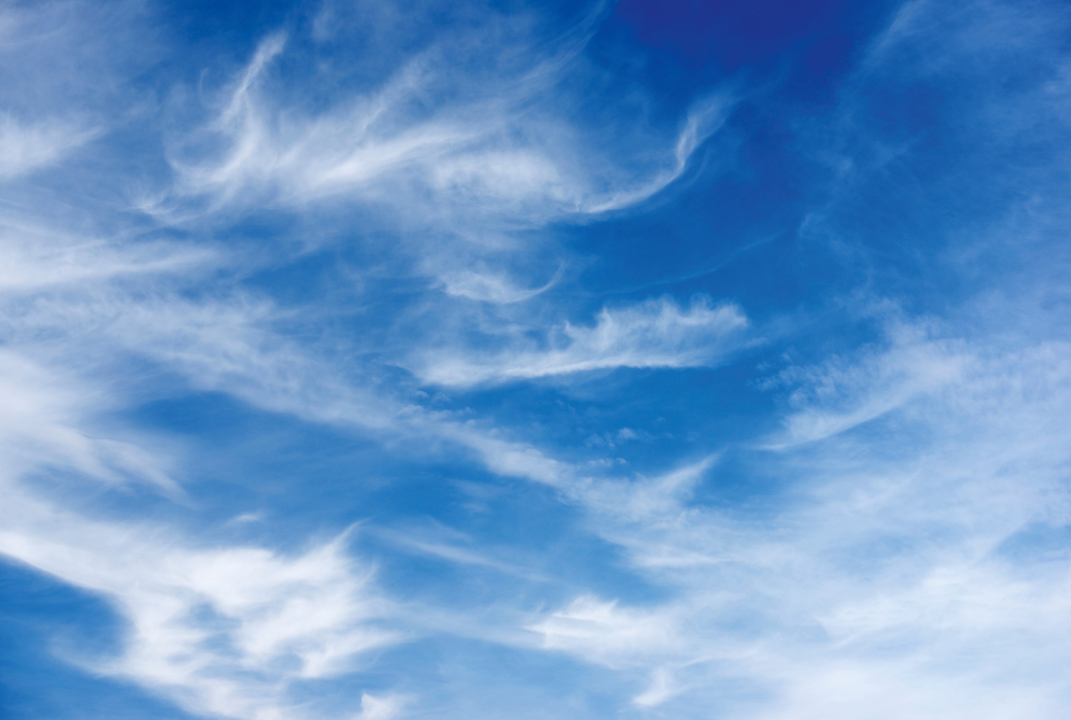 Horizon line