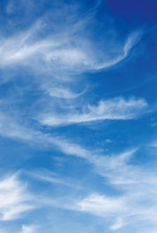 Horizon line