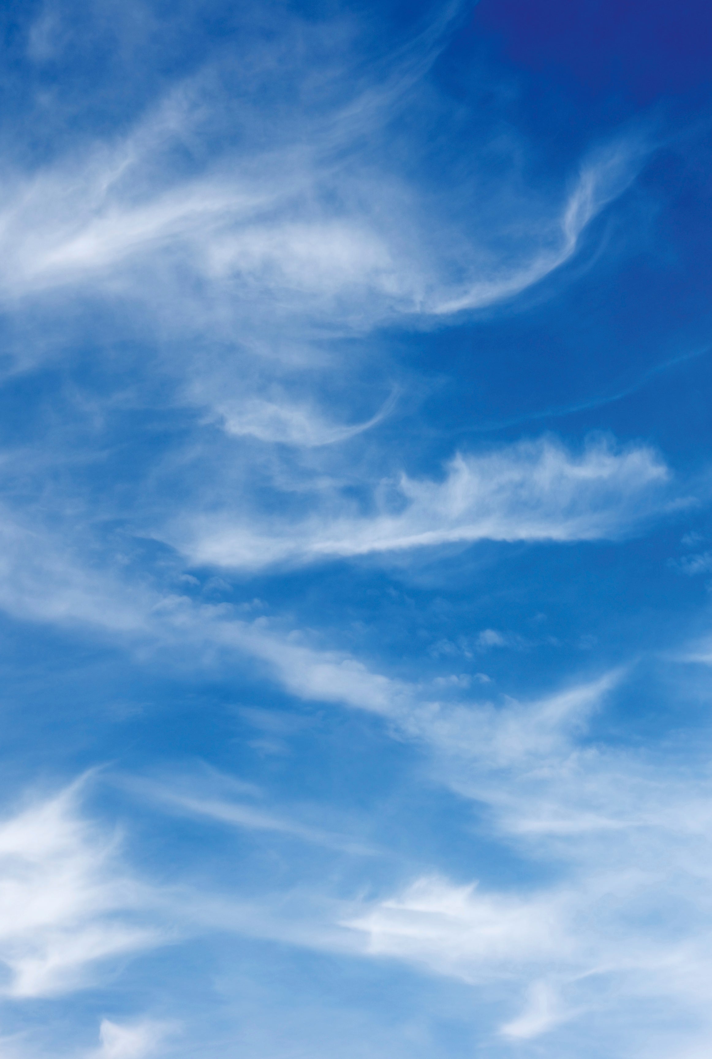 Horizon line