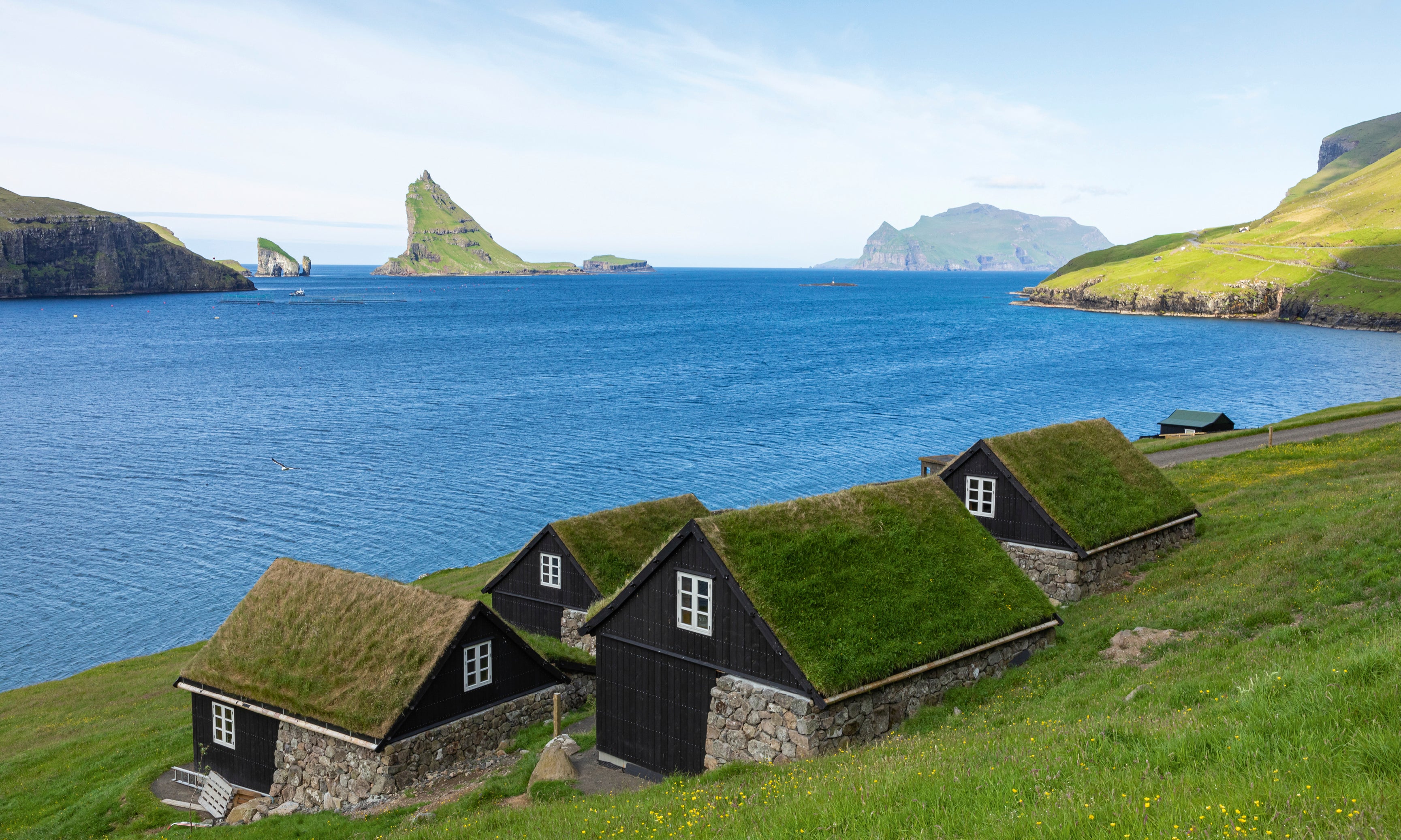 Housesbythesea-120x80cm.jpg