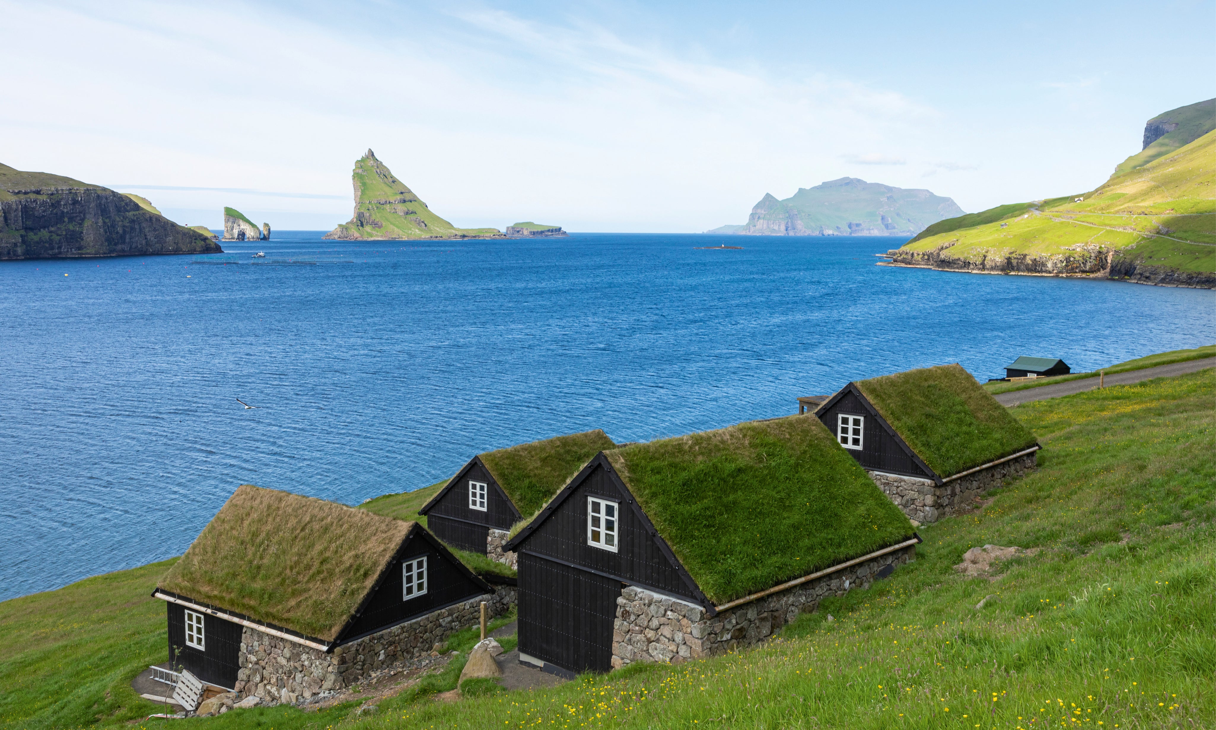 Housesbythesea-150x100cm.jpg