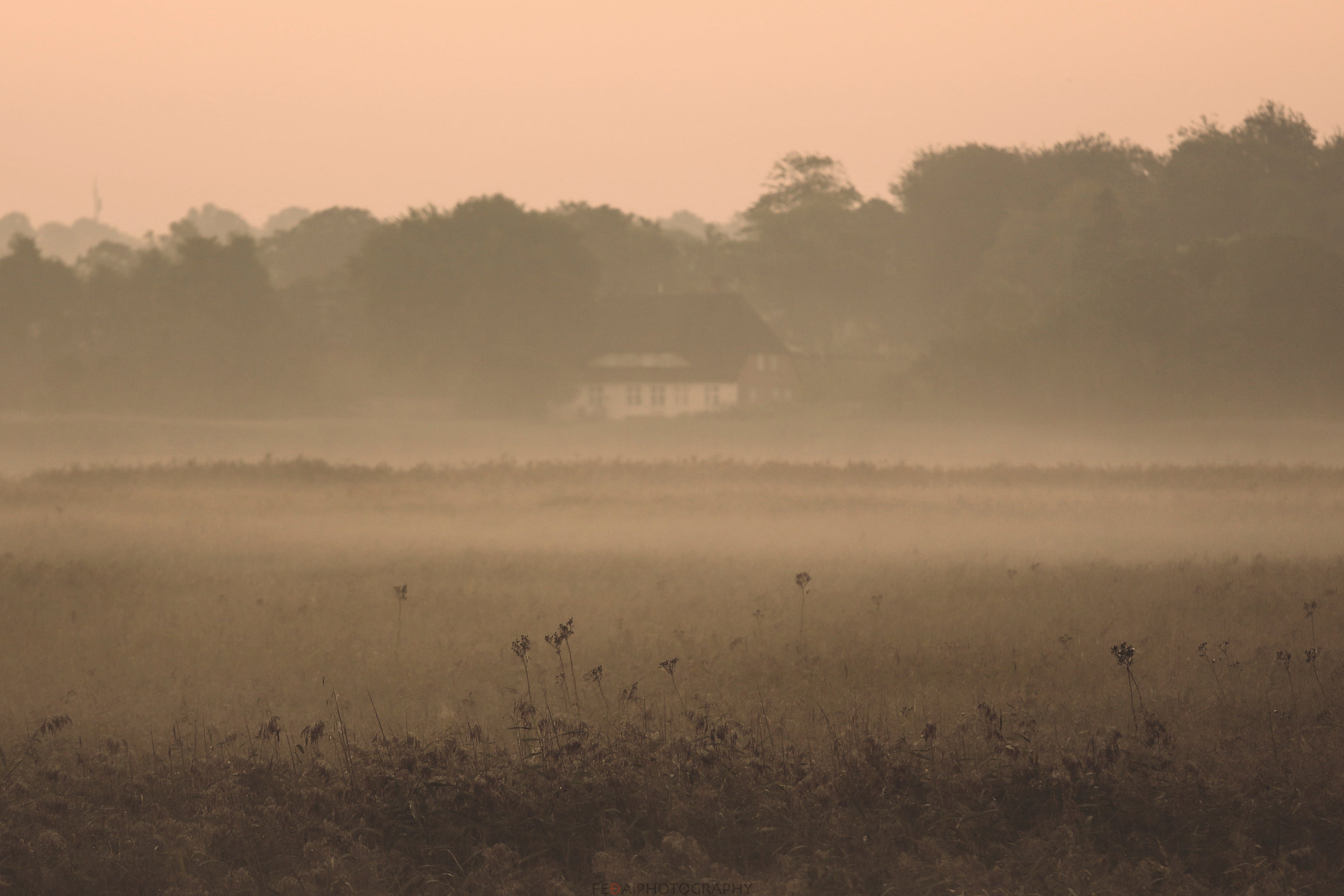 Inlight_sembrace-120x80cm.jpg