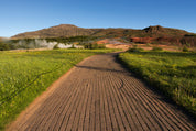 Lava fields