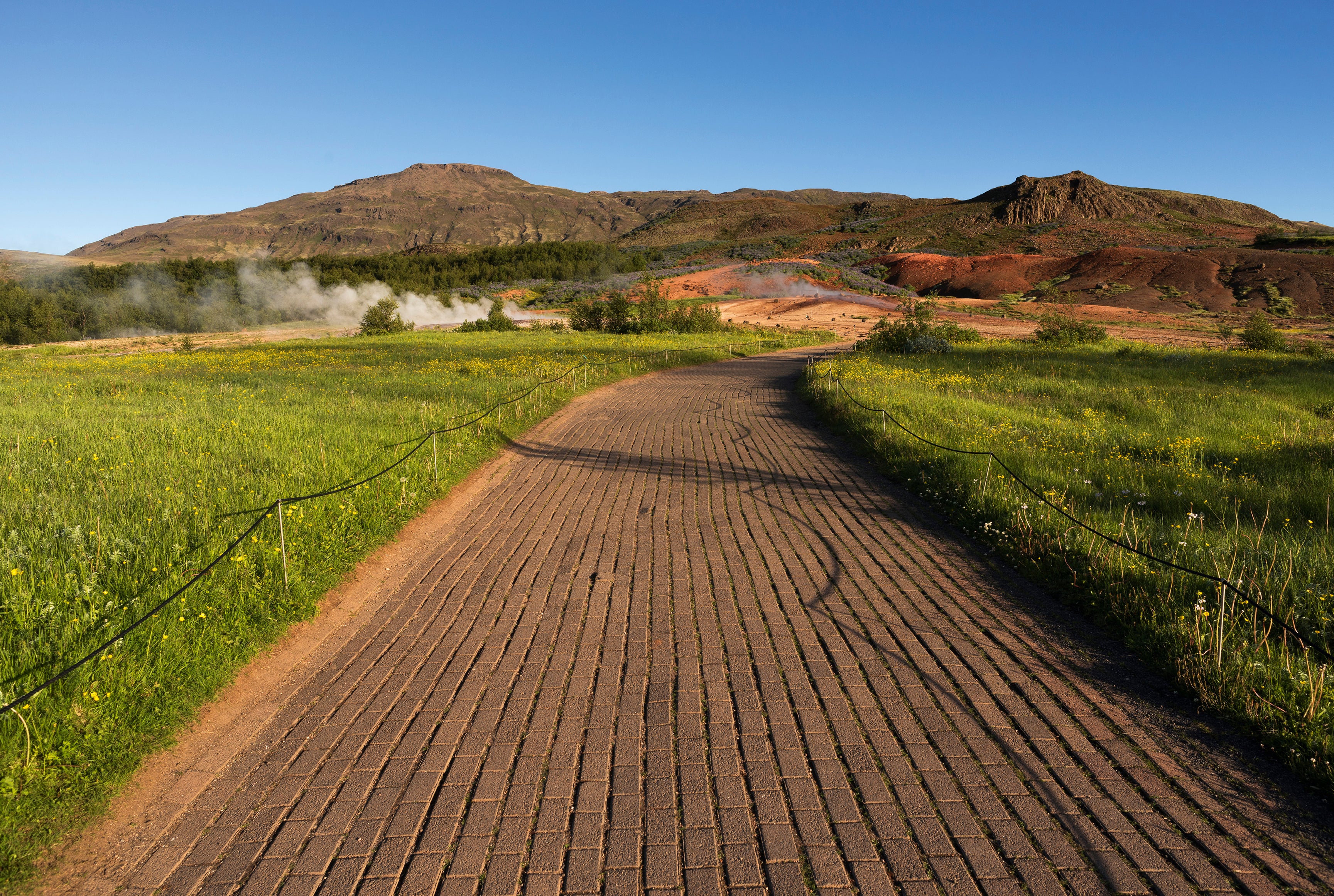 Lava fields