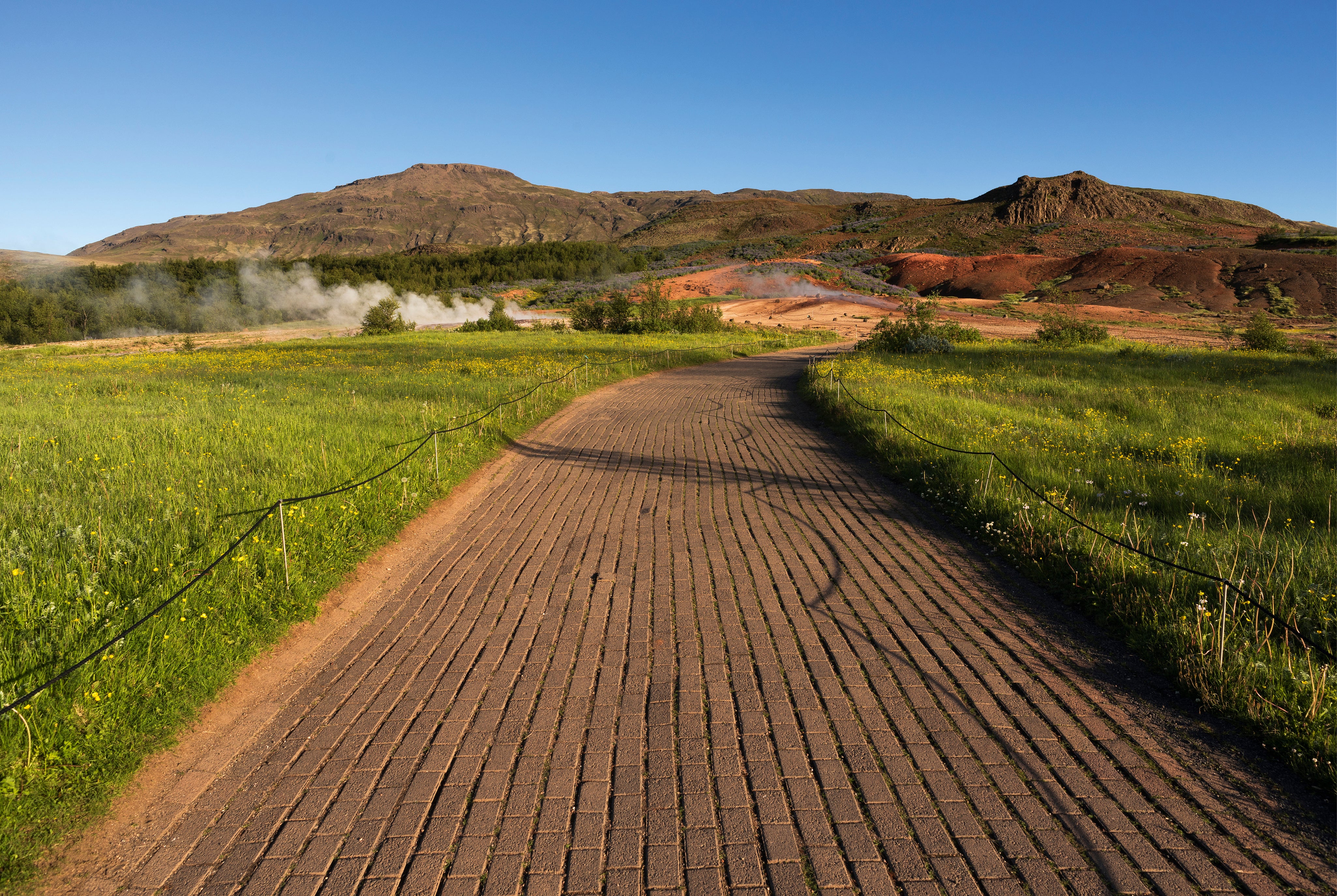 Lava fields