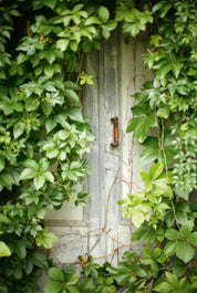 Leafdoor