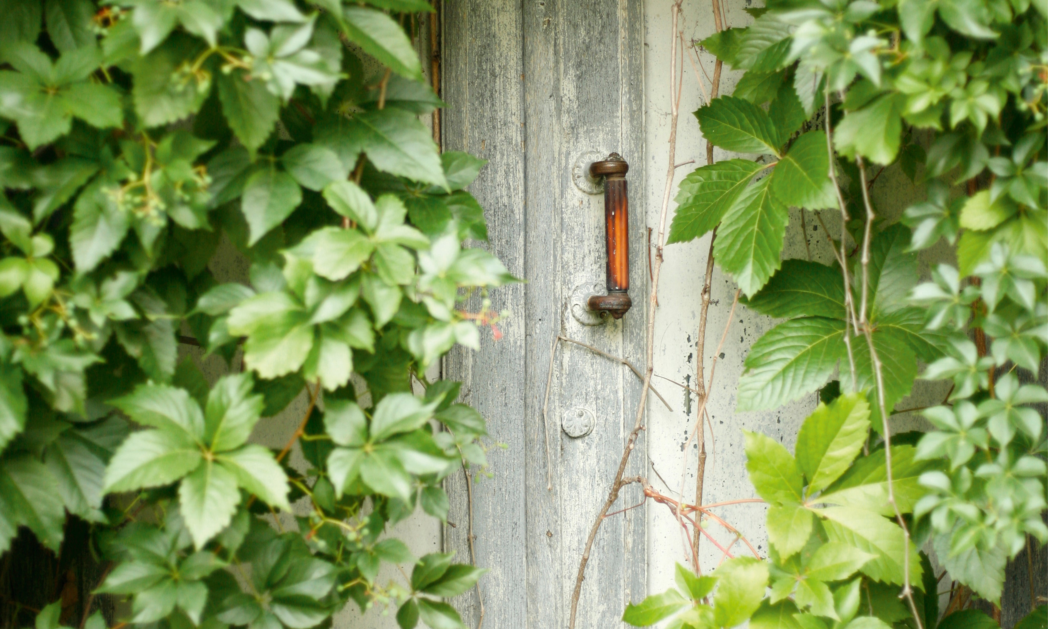 Leafdoor-150x100cm.jpg