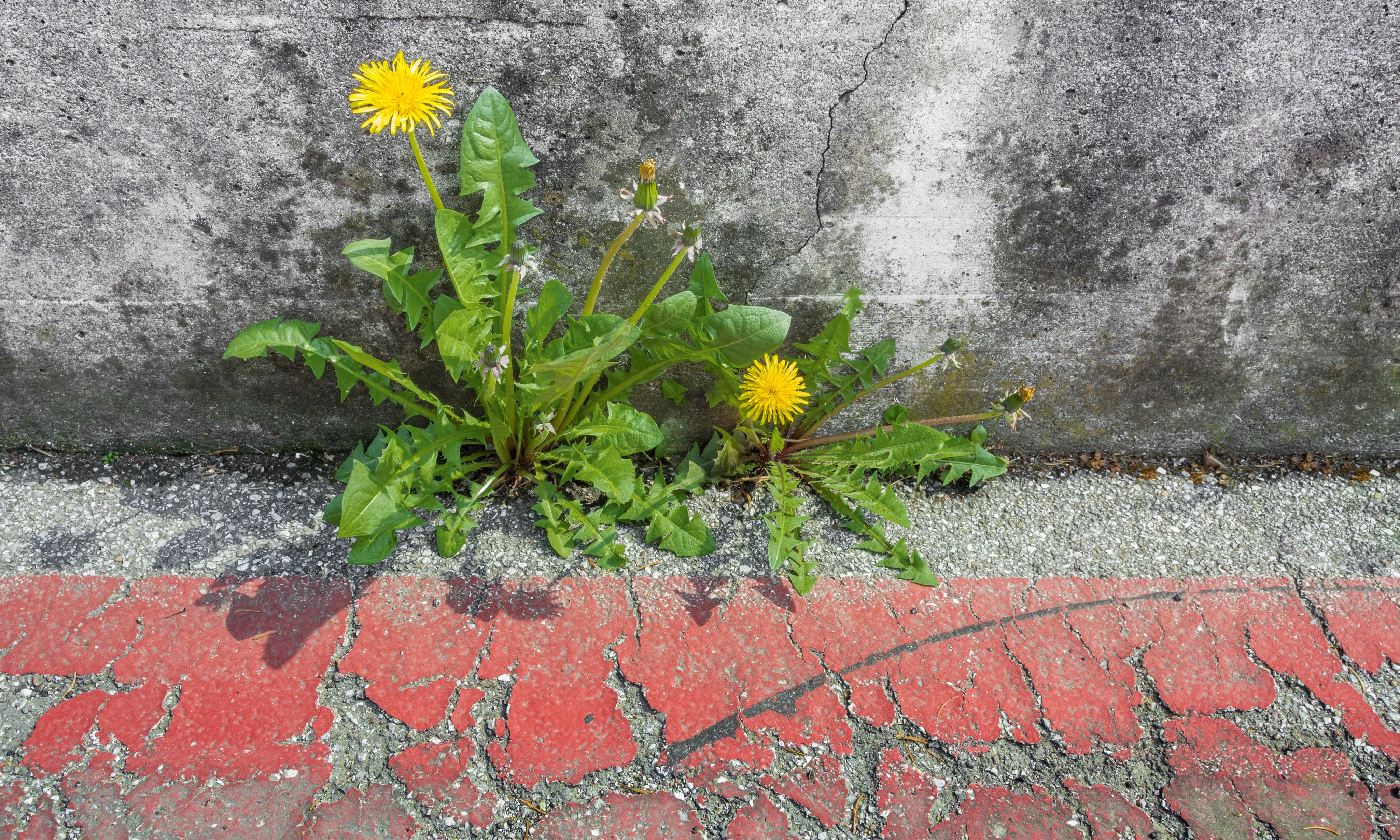 Lifefindsaway-150x100cm.jpg