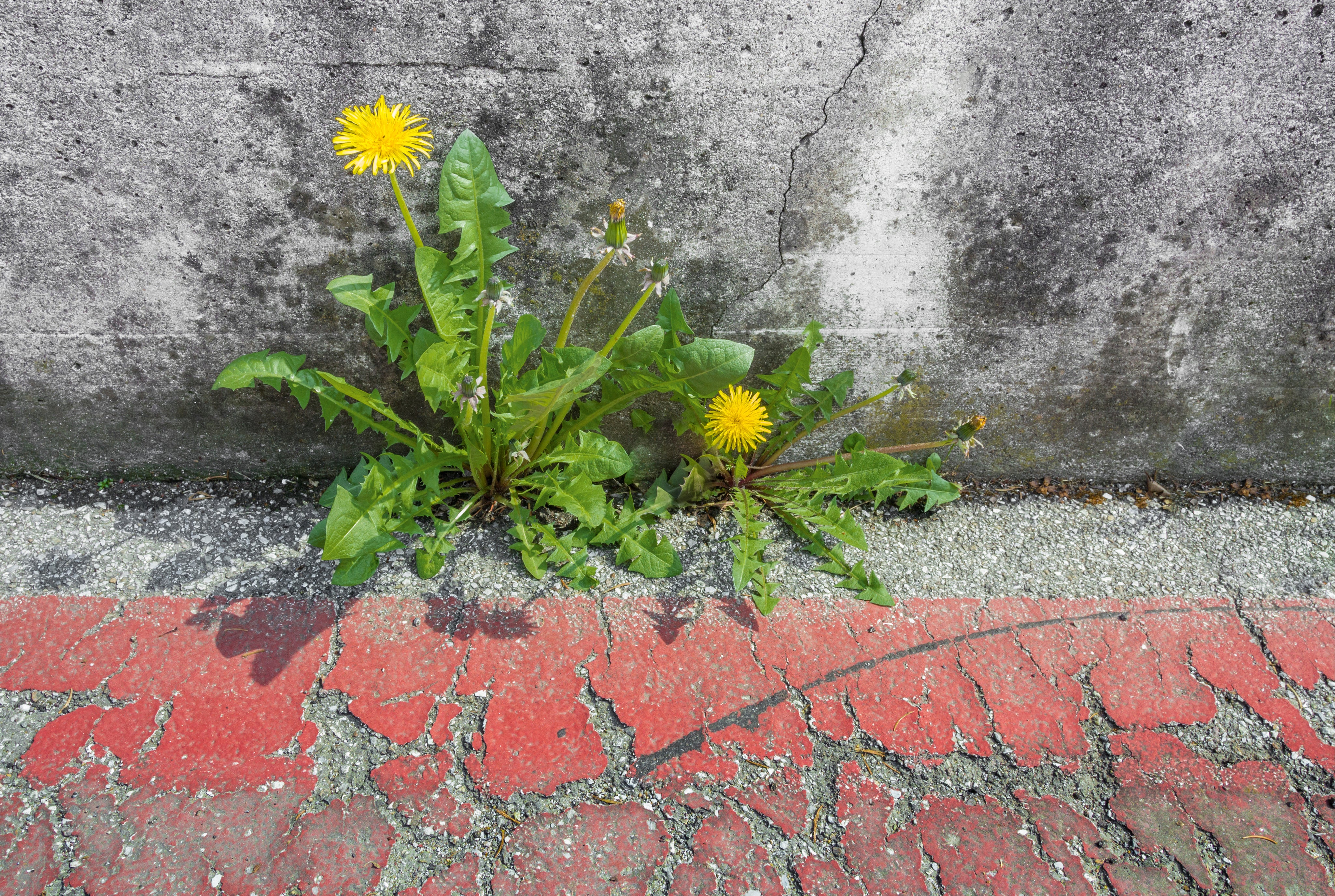 Lifefindsaway-150x100cm.jpg