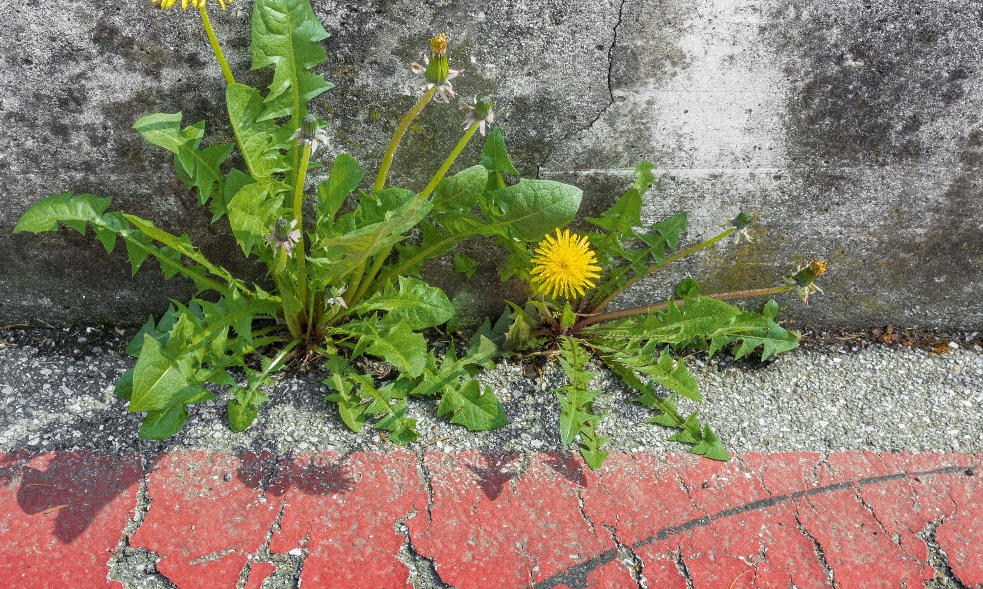 Lifefindsaway-150x150cm.jpg
