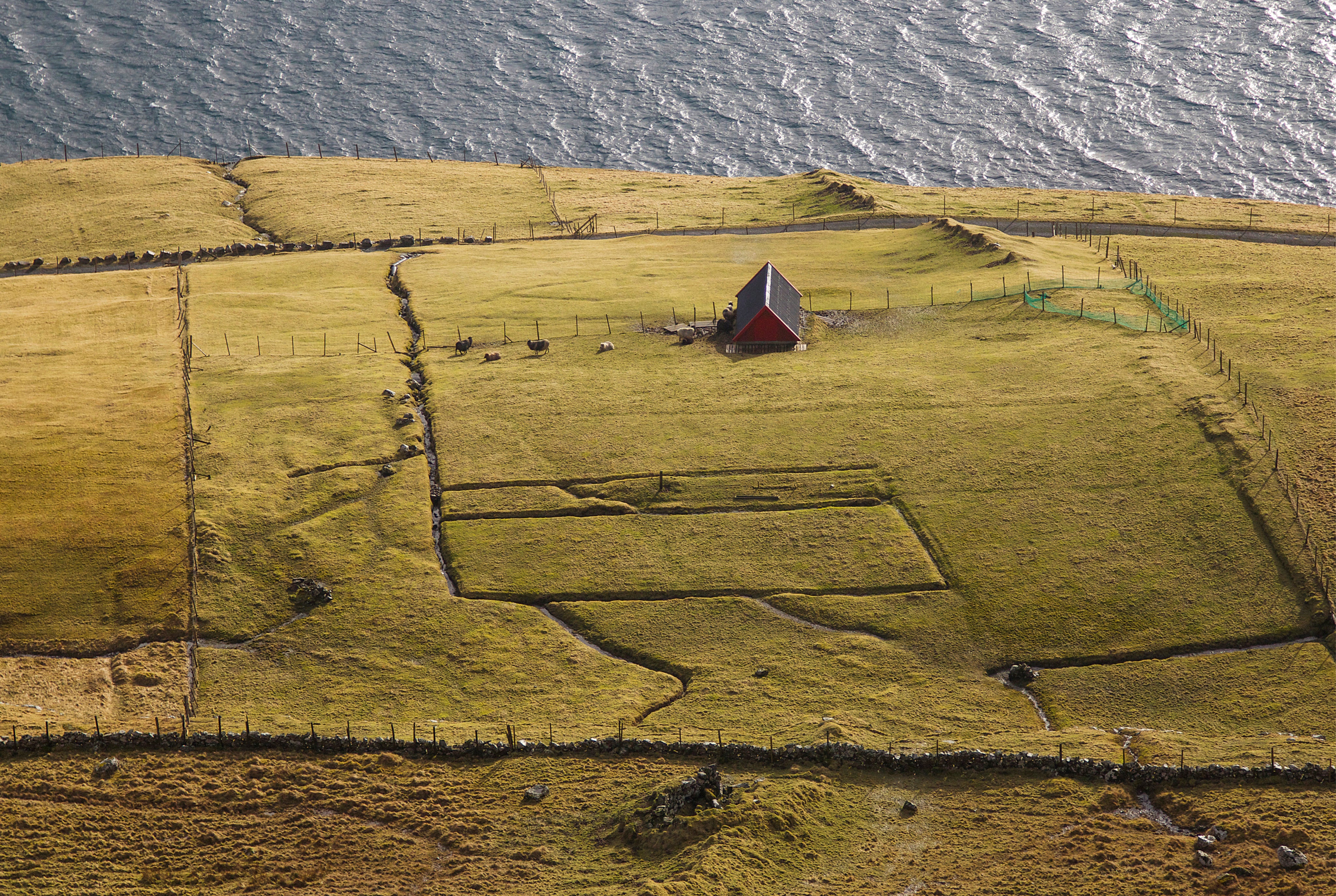 Lines of solitude