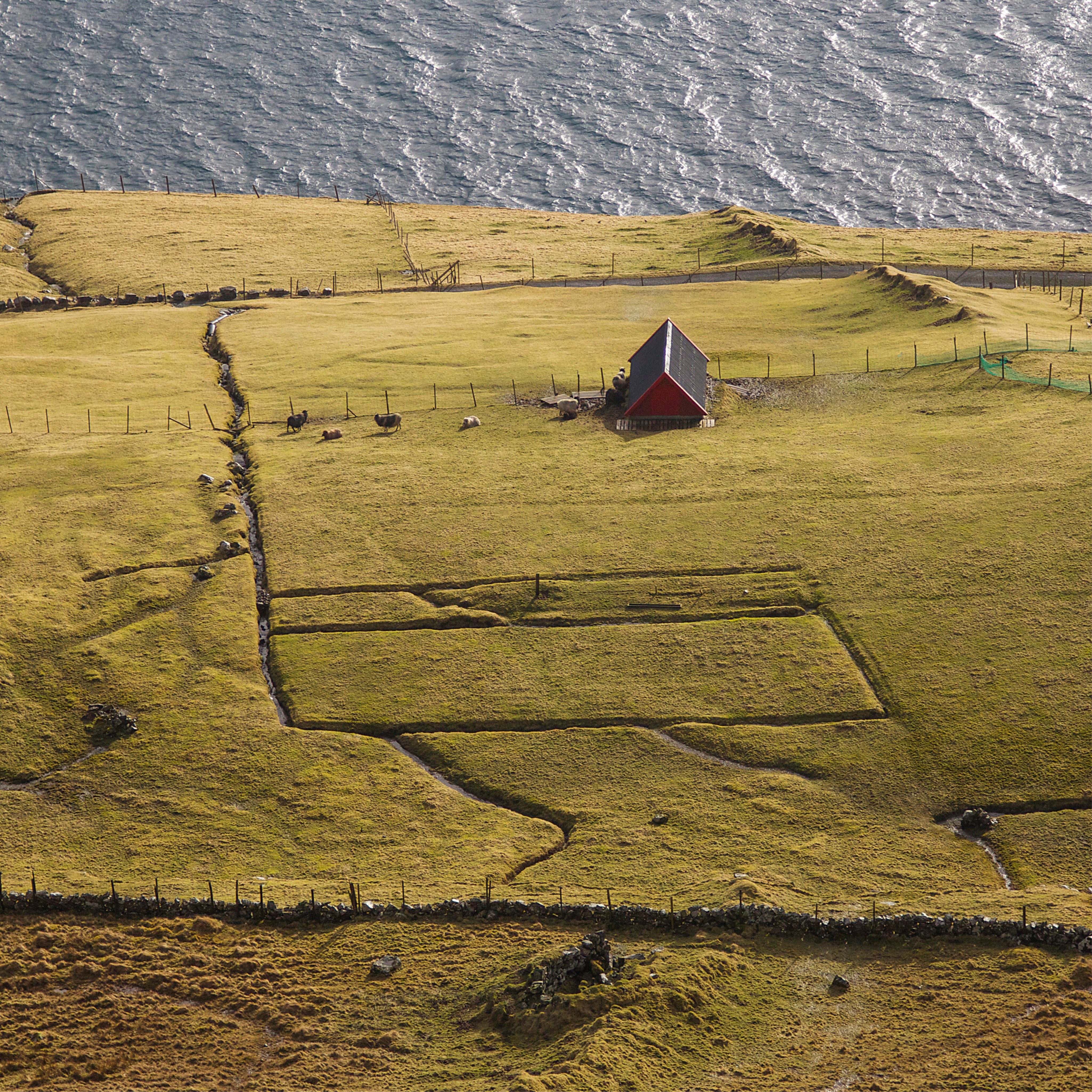 Lines of solitude