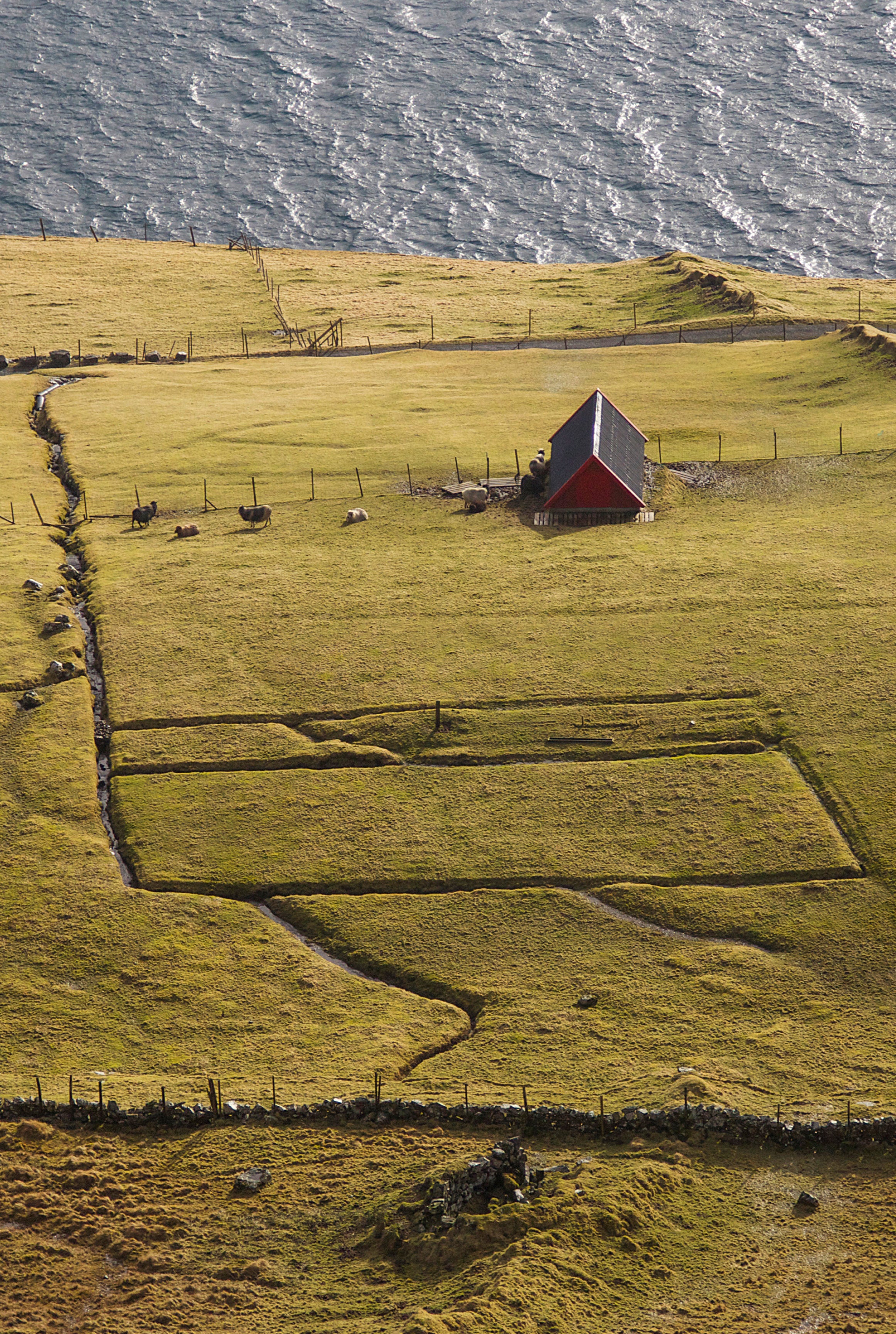 Lines of solitude