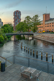 Lines of the evening