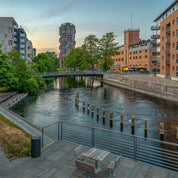 Lines of the evening