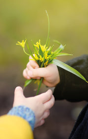 Little kindness