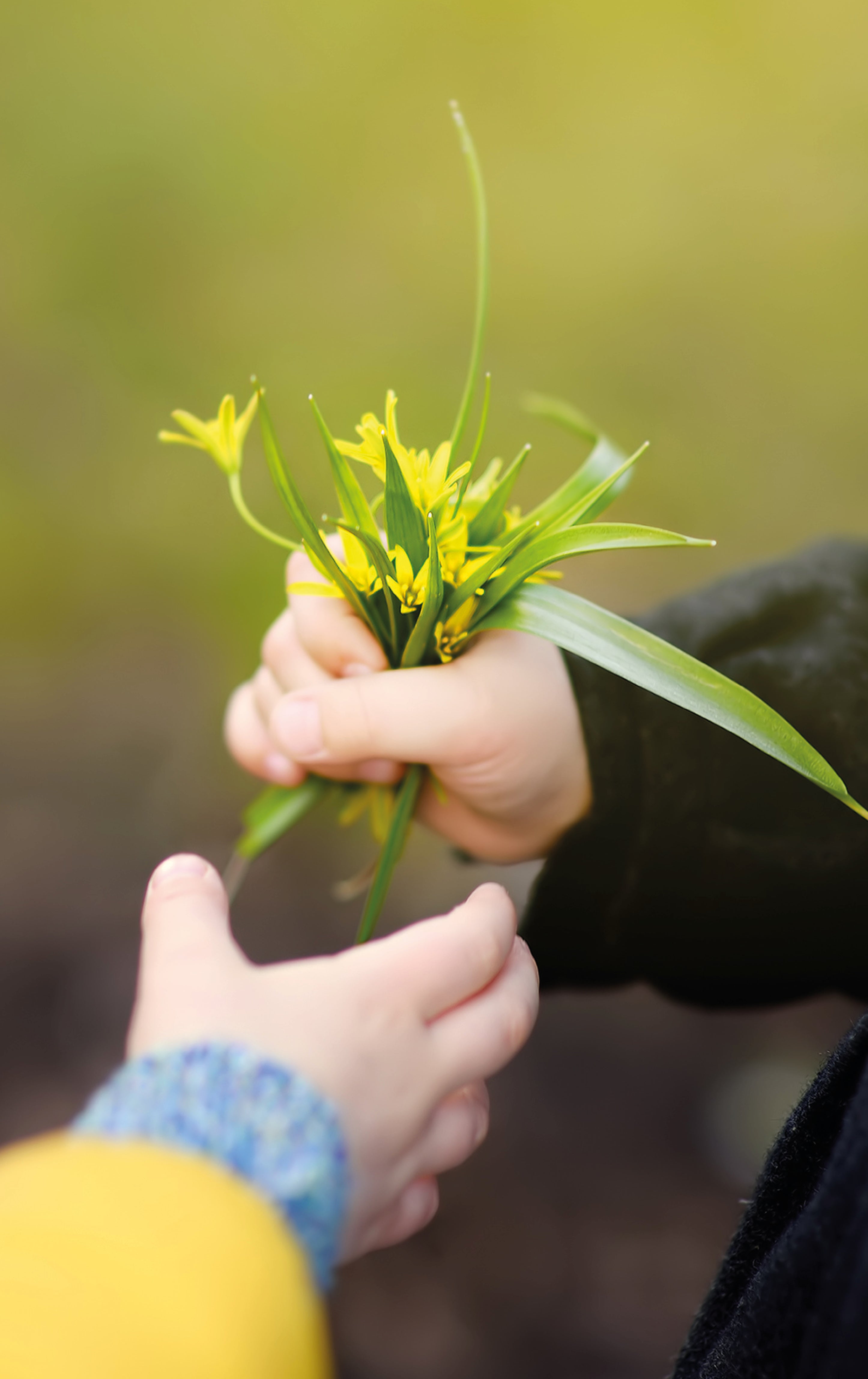 Little kindness