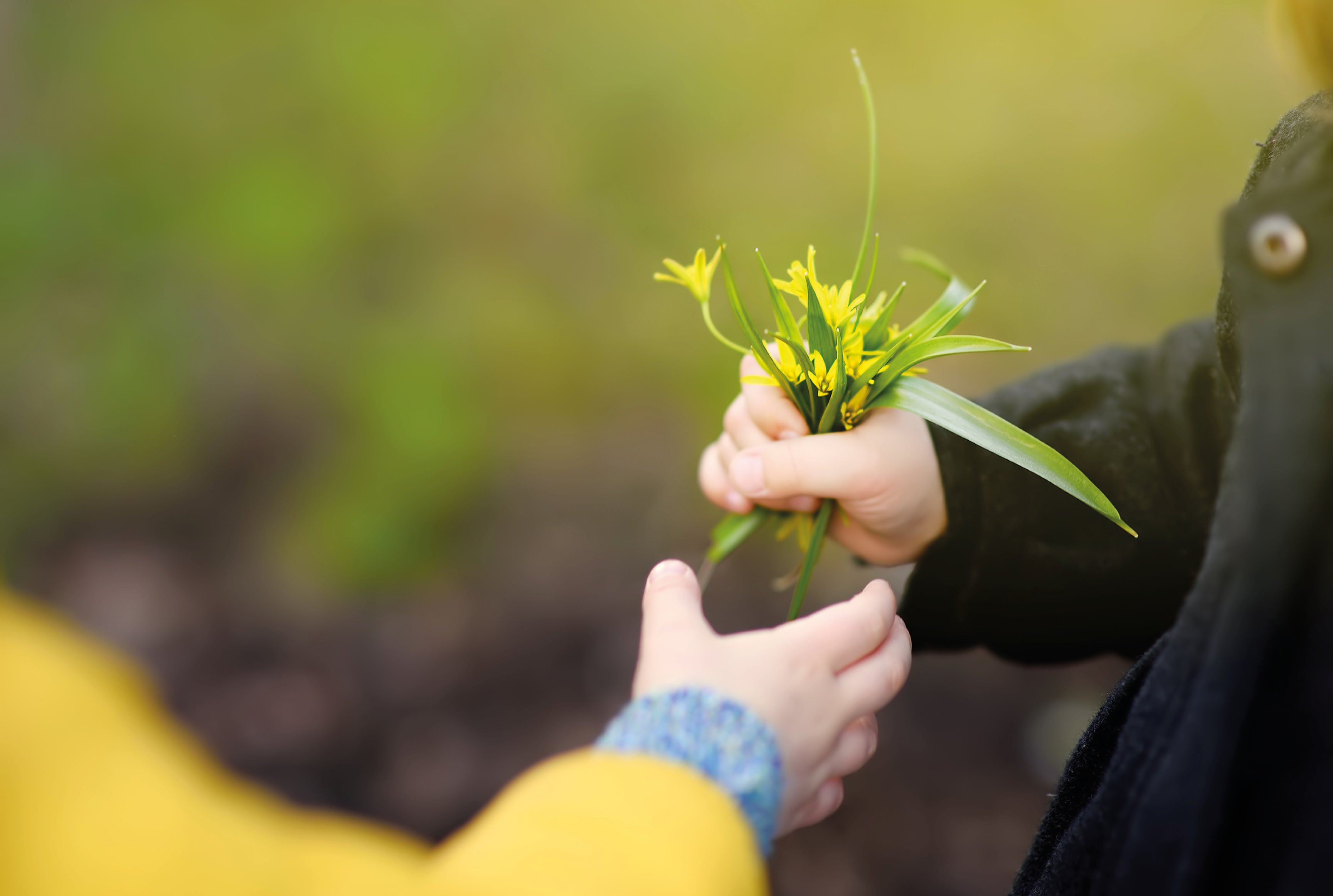 Little kindness