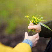 Little kindness