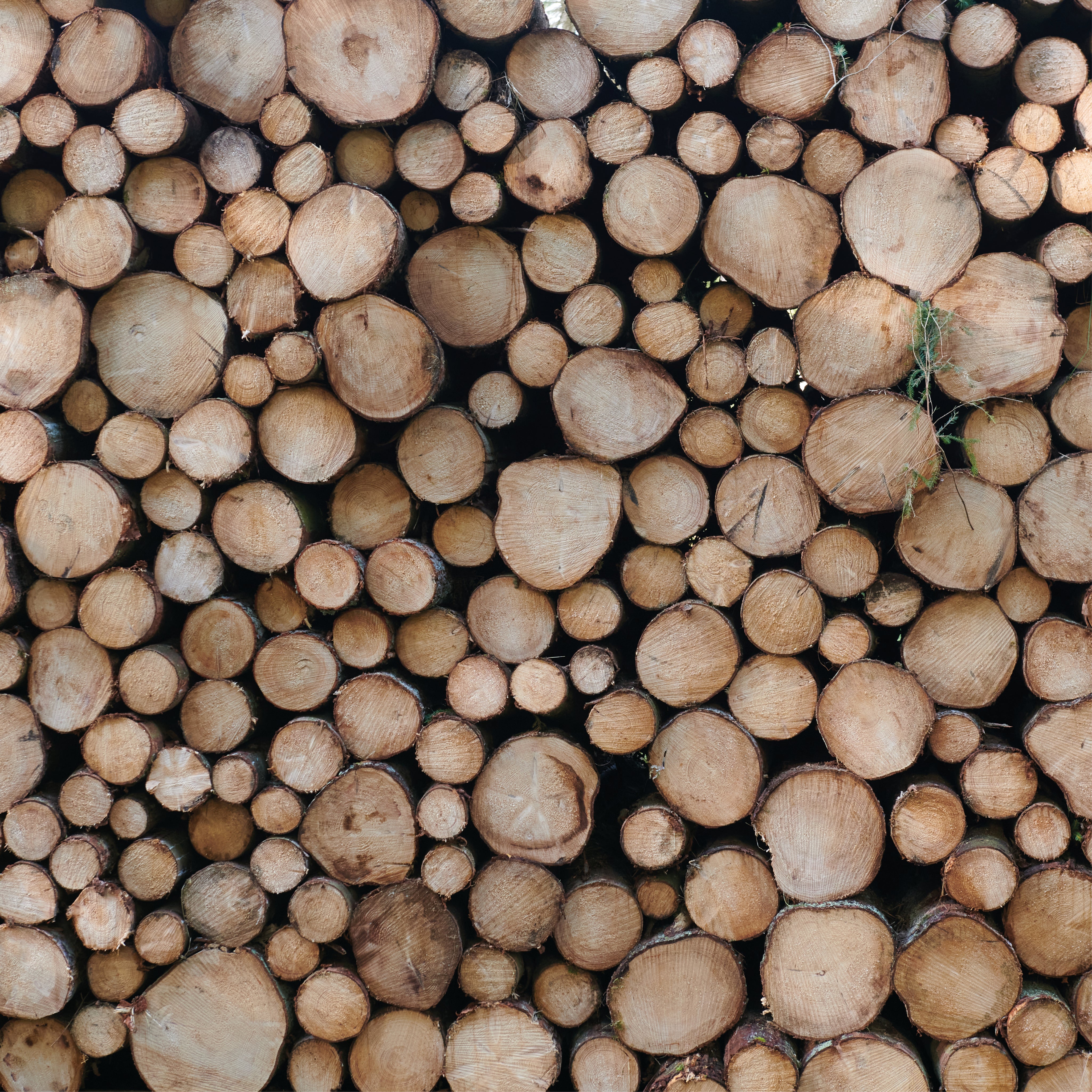 Woodmates