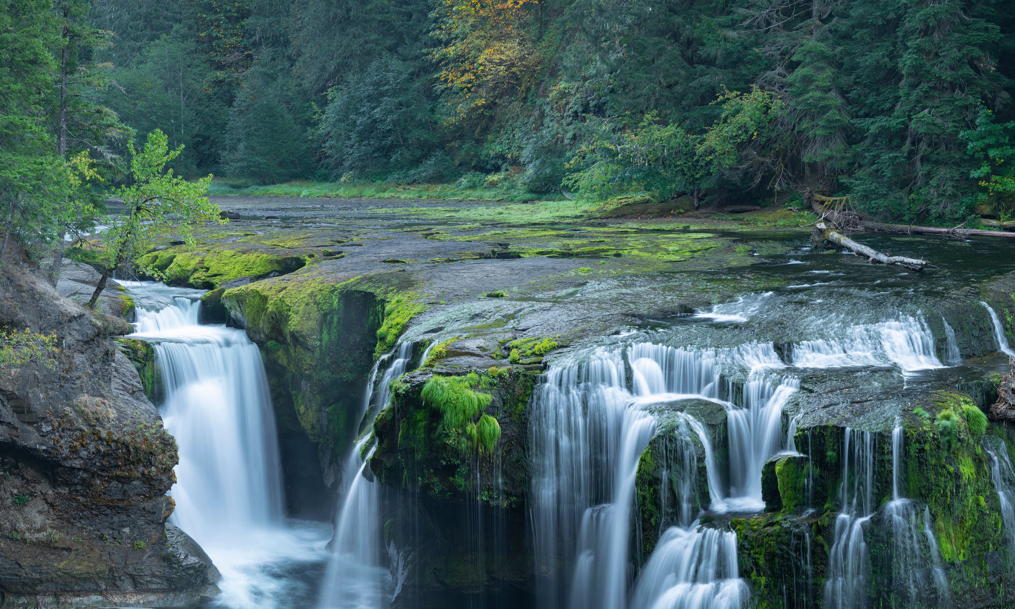 LowerLewisFalls-120x80cm.jpg