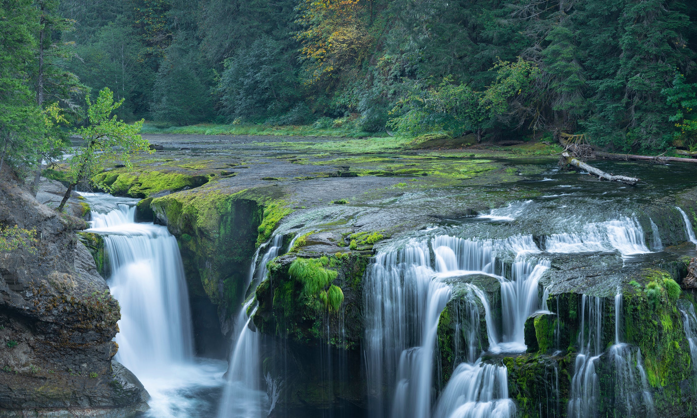 LowerLewisFalls-80x80cm.jpg