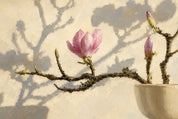 Magnolia light