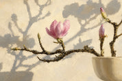 Magnolia light