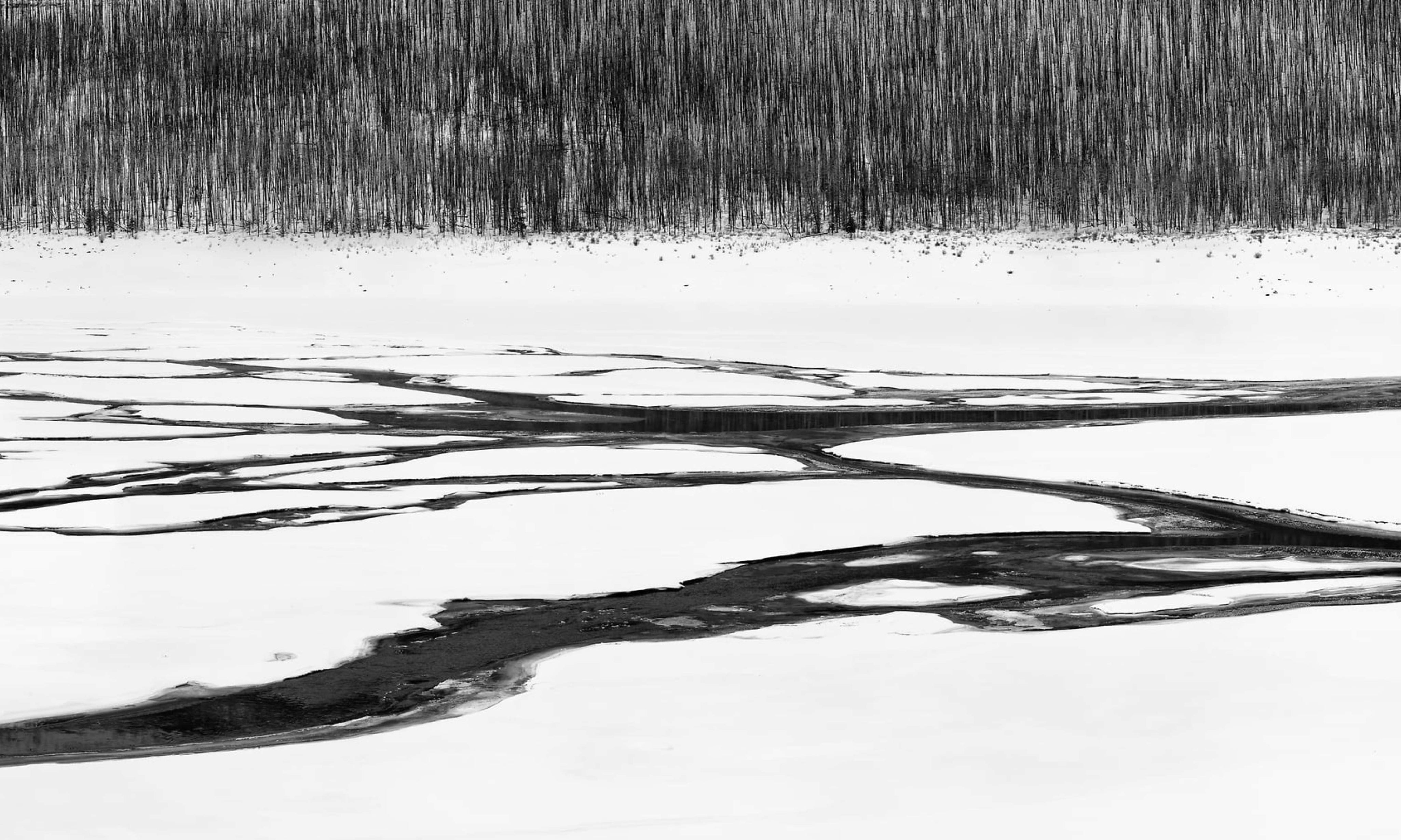MedicineLake-WinterView.jpg