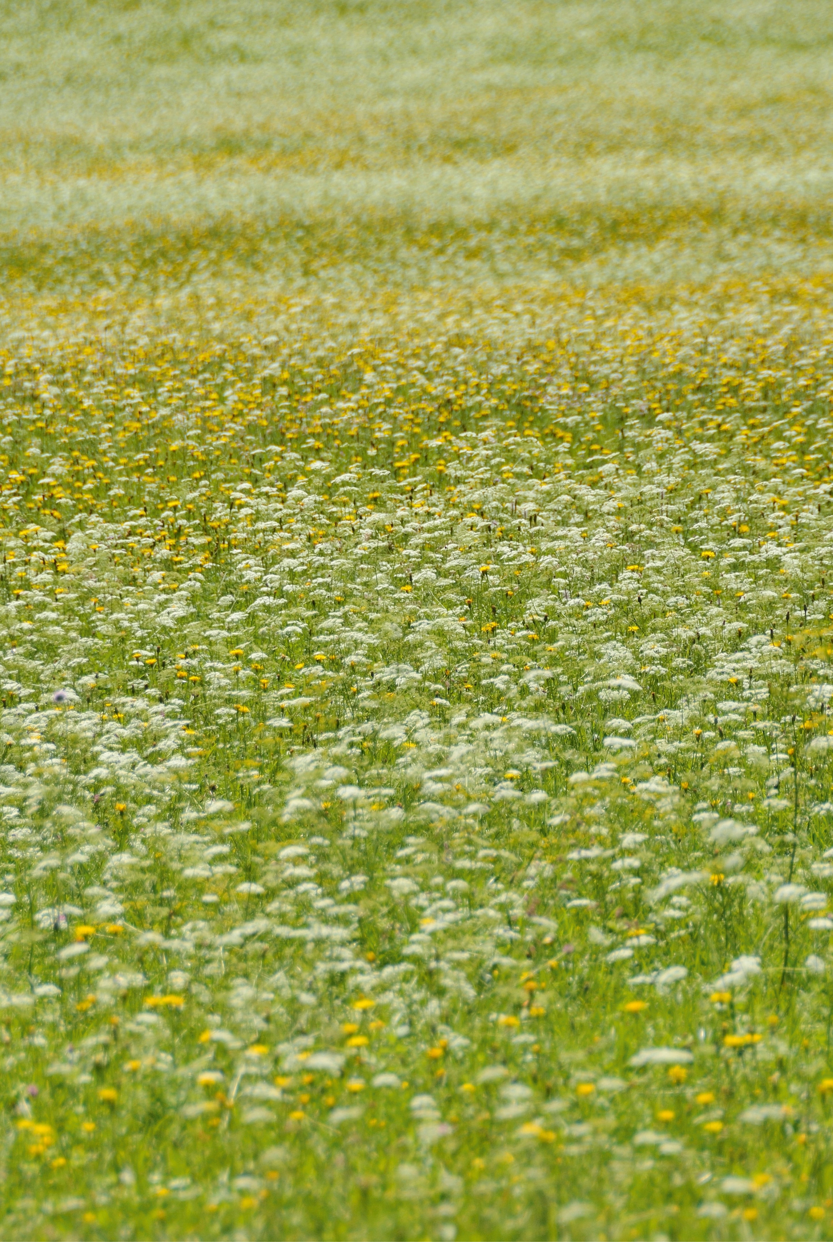 Meditative stillness