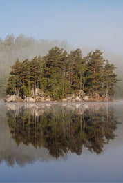 Mirror lake
