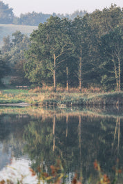 Mirrors of stillness