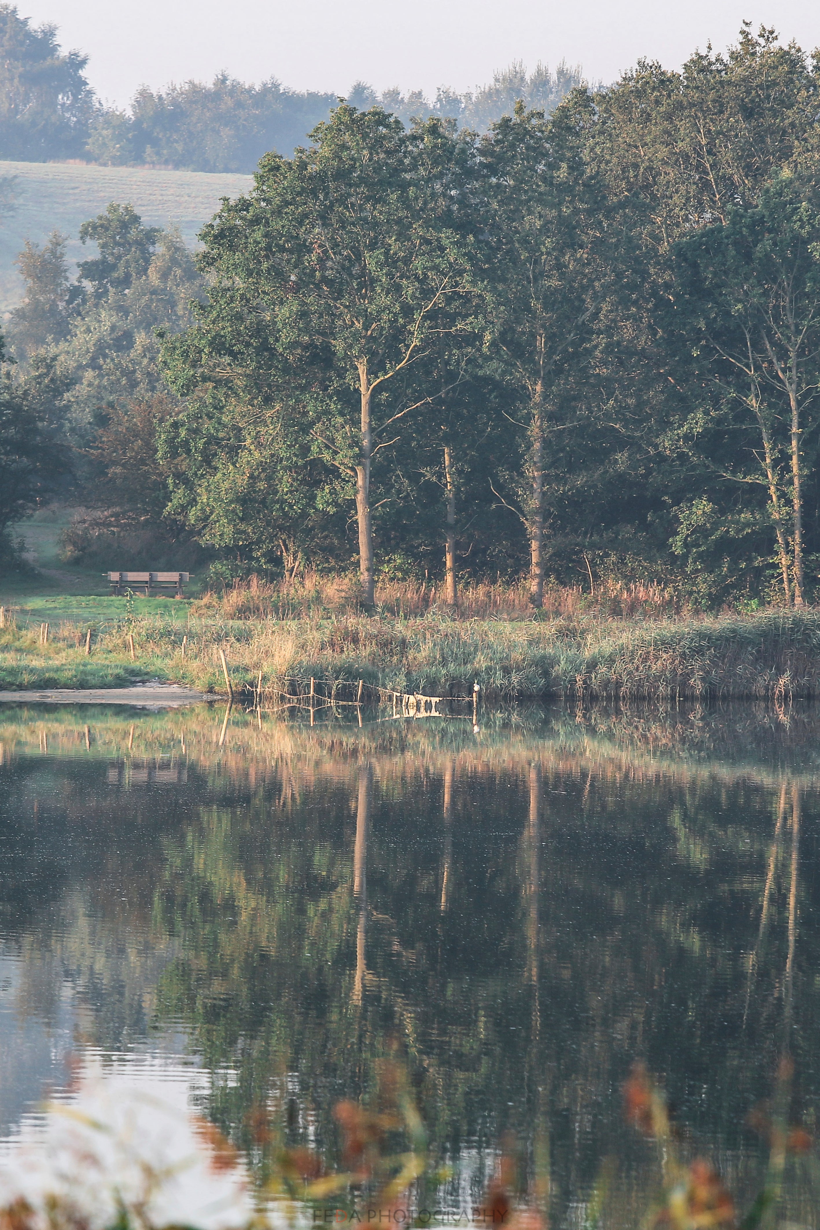 Mirrors of stillness