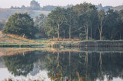 Mirrors of stillness