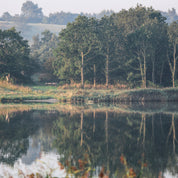 Mirrors of stillness